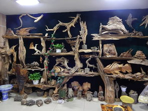 雙鴨山市第八屆工藝美術創新作品暨旅游紀念品展銷會隆重開幕，本土工藝精品薈萃展風采